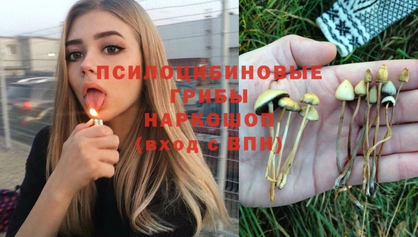 хмурый Балабаново