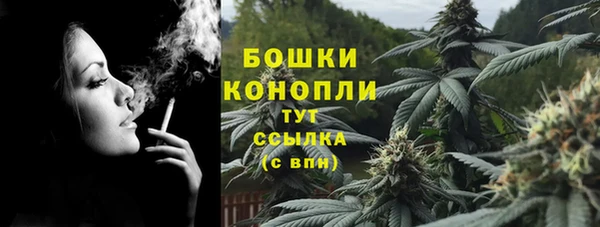 гашик Аркадак