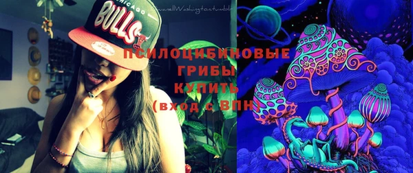 гашик Аркадак