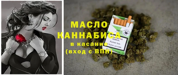 гашик Аркадак
